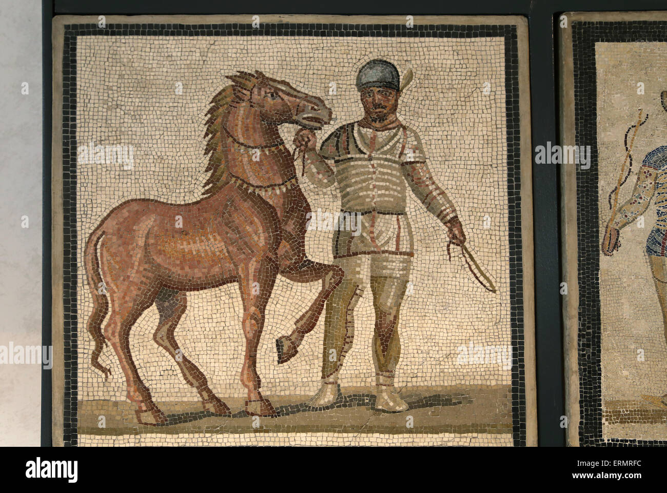 Mosaico raffigurante un condottiero e cavallo dalla fazione Albata (bianco). Iii secolo D.C. Roma. Museo Nazionale Romano. Foto Stock