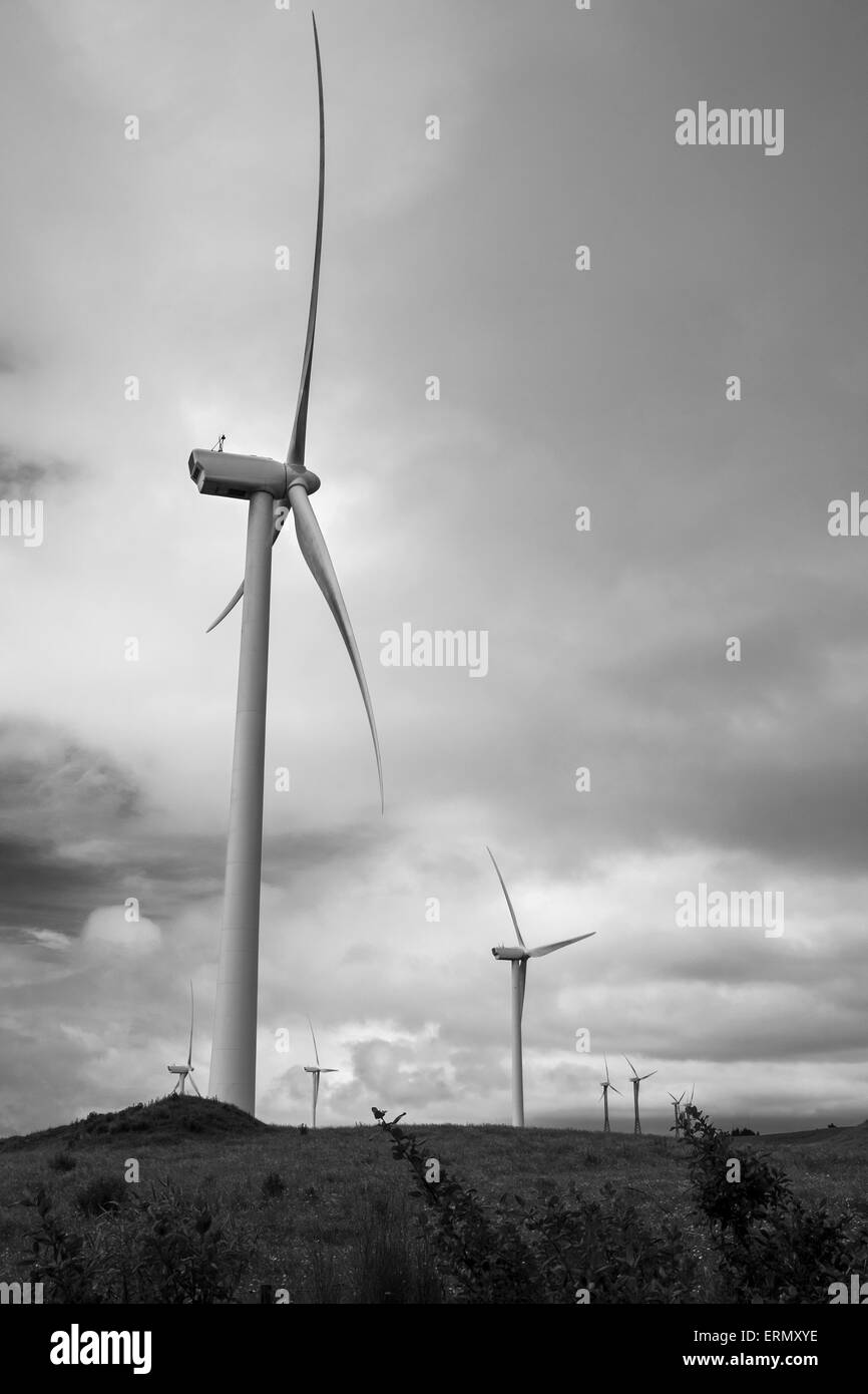 Turbine di generare energia elettrica presso il Meridian Energy per centrali eoliche in Te Apiti, Manawatu Affitto Gorge, Nuova Zelanda. Versione a colori ERMXYH.. Foto Stock