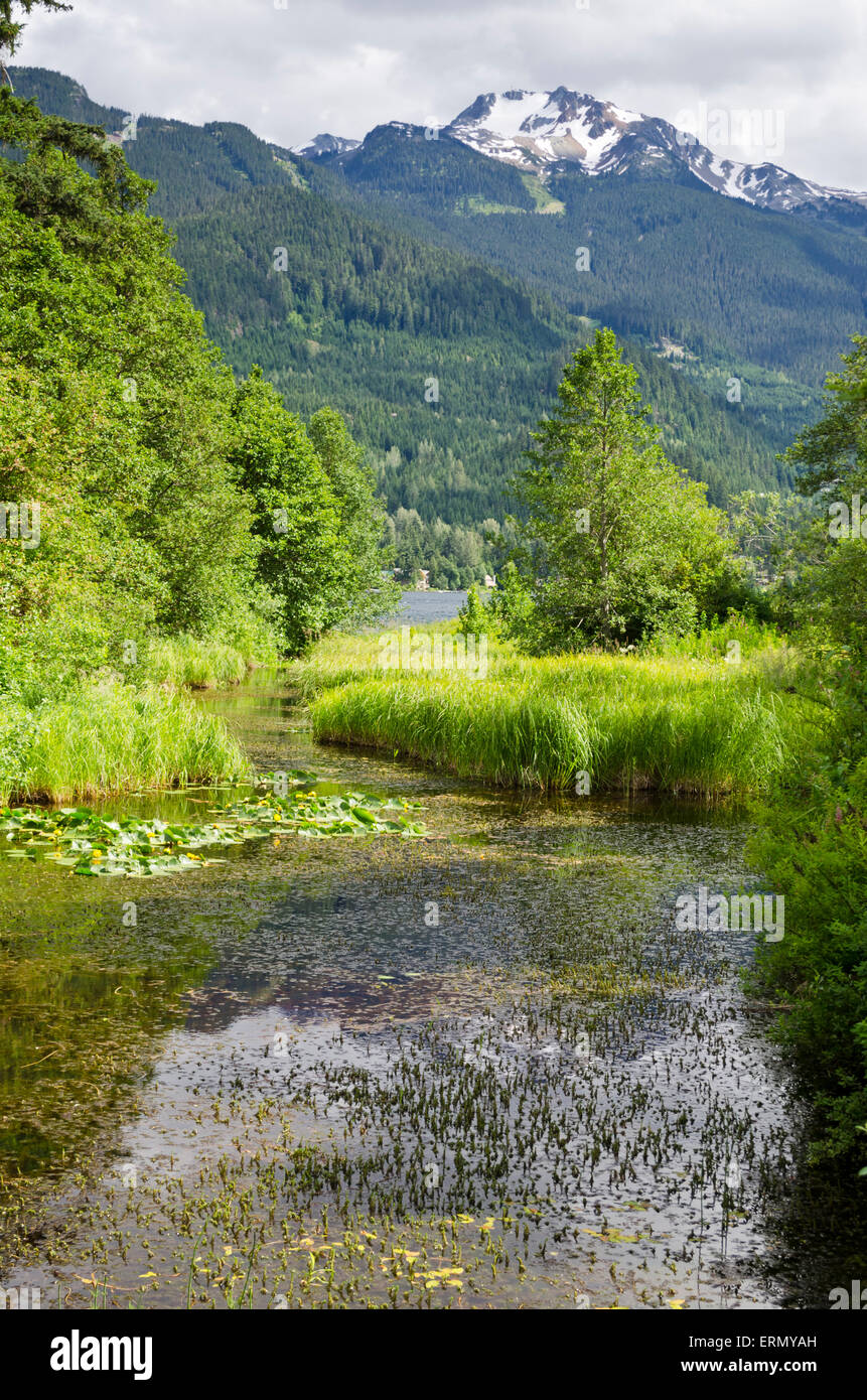 Punto di vista di Alta sul lago e le montagne di Whistler dal Rainbow Park. Estate in Whistler, BC, Canada Foto Stock