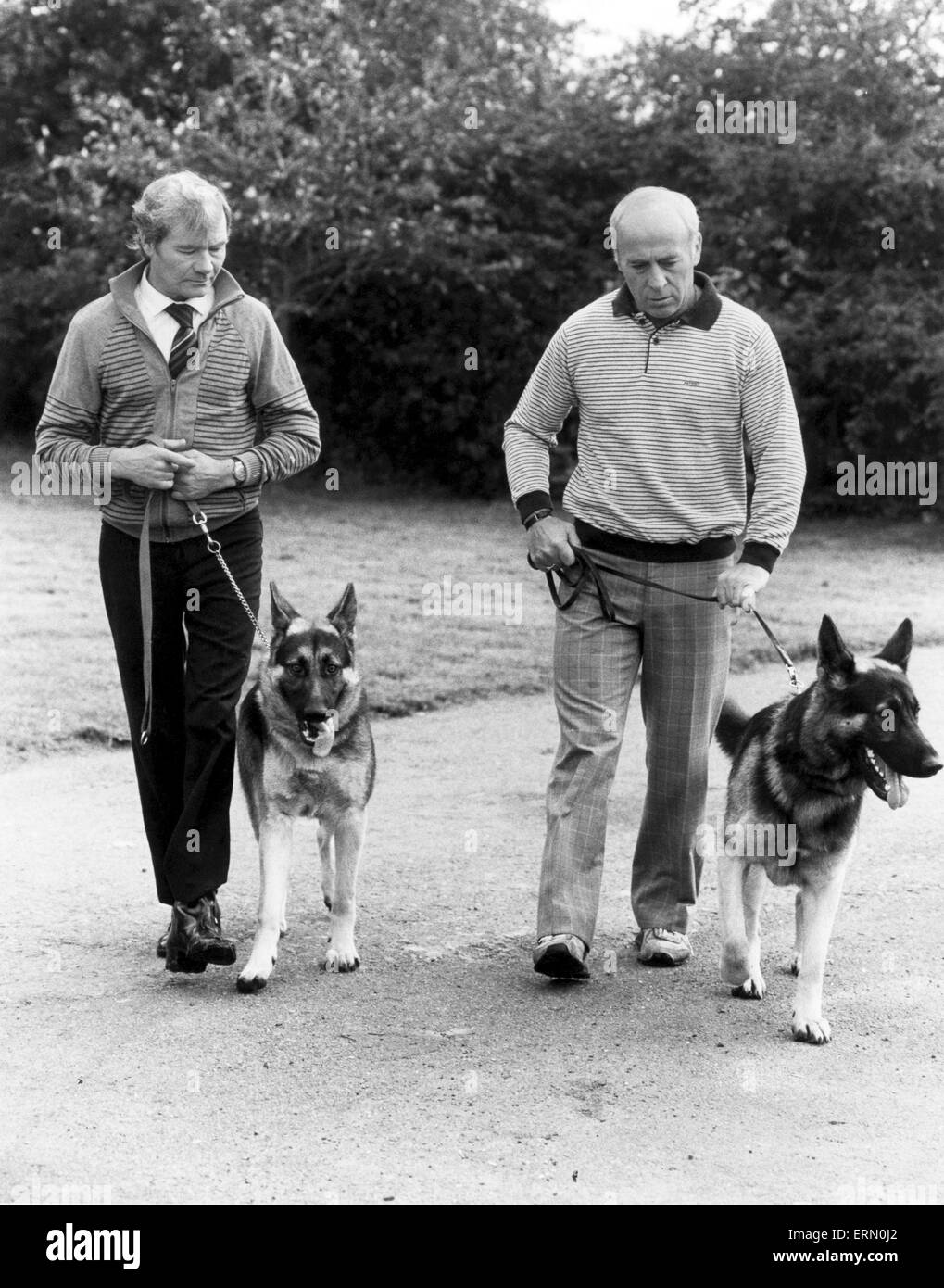 Birmingham City Football Manager Ron Saunders passeggiate con il cane. 1 ottobre 1983. Foto Stock