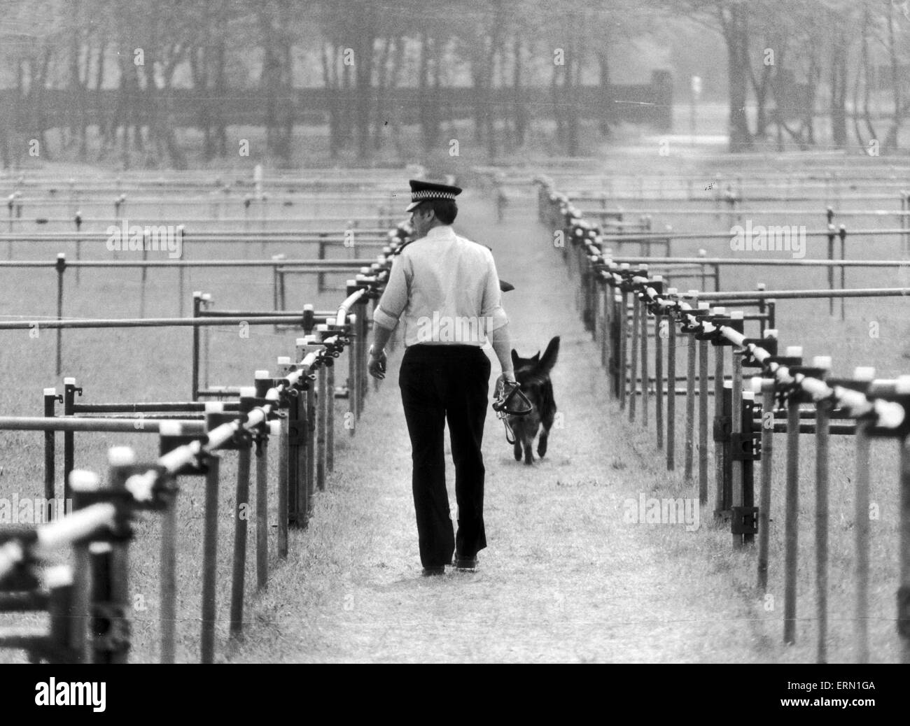 Cane poliziotto controlli del gestore appositamente costruita involucro per alloggiare una vasta folla davanti a Papa Giovanni Paolo II SANTA MESSA A Heaton Park, Manchester lunedì 31 maggio 1982, nella foto 12 maggio 1982. Foto Stock