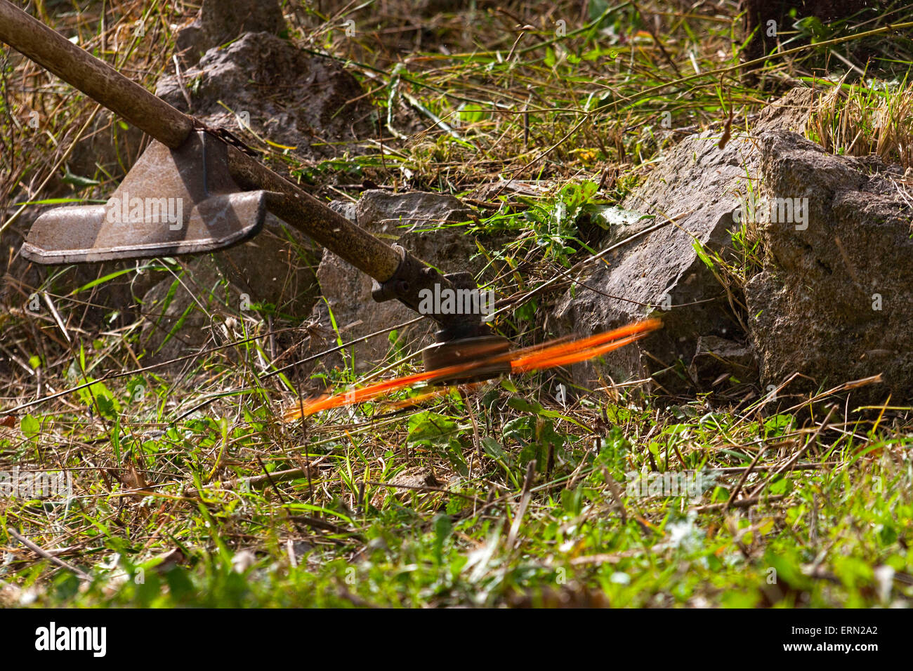 Close up del lavoro di un decespugliatore Foto Stock