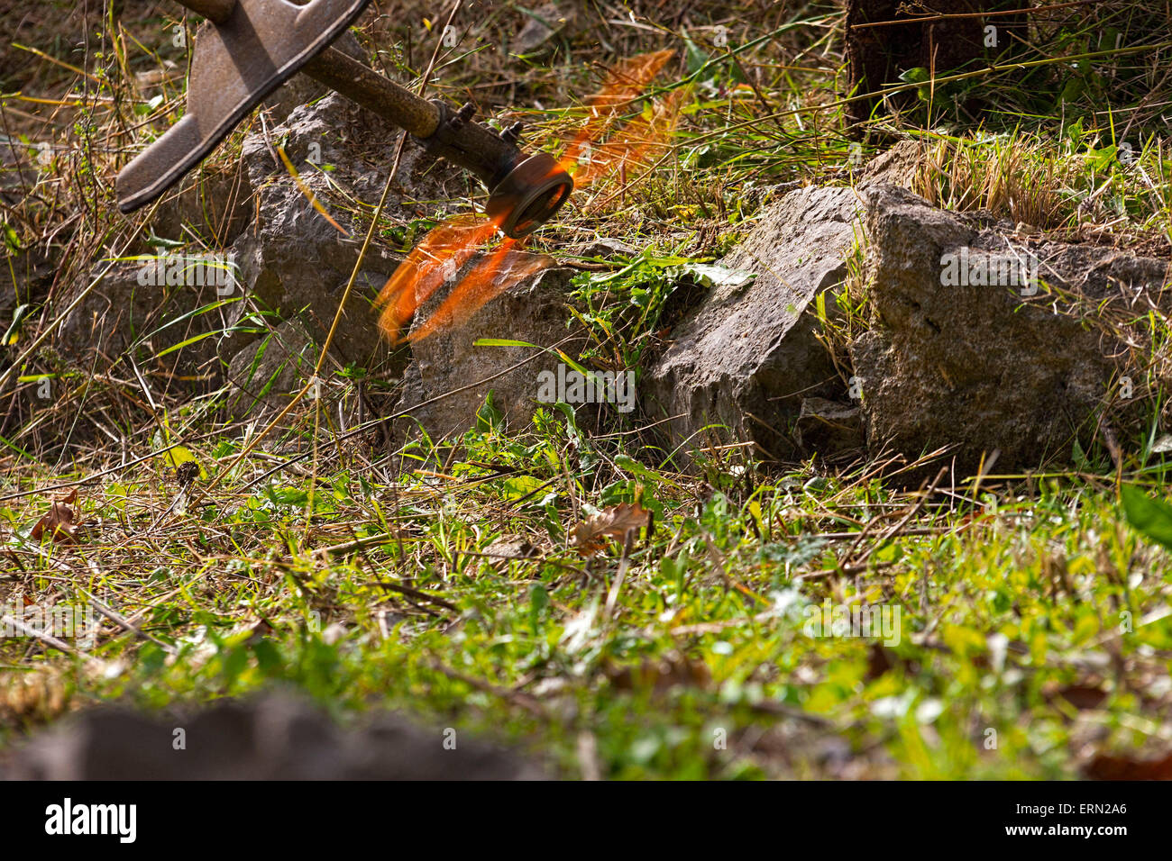 Close up del lavoro di un decespugliatore Foto Stock