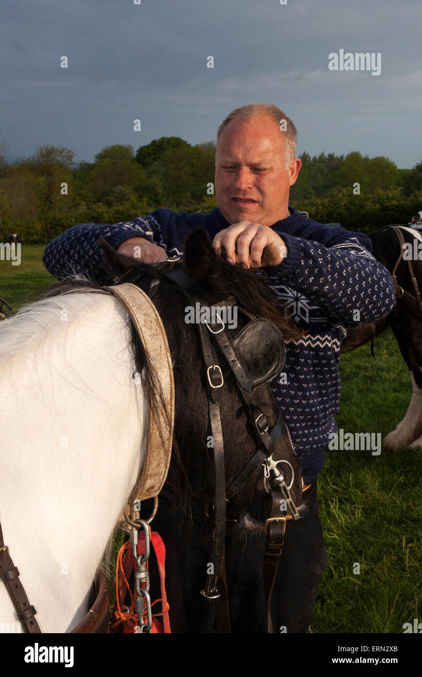 Appleby, Cumbria, Regno Unito. 5 Giugno, 2015. Bill Lee da Londra, saddling il suo cob a Appleby Horse Fair in Cumbria. La Fiera è un incontro annuale di zingari e nomadi che si svolge la prima settimana di giugno e ha avuto luogo dopo il regno di Giacomo II, che ha concesso un Royal Charter nel 1685 consentendo una fiera dei cavalli " vicino al fiume Eden", ed è la più grande manifestazione del suo genere in Europa. Foto Stock