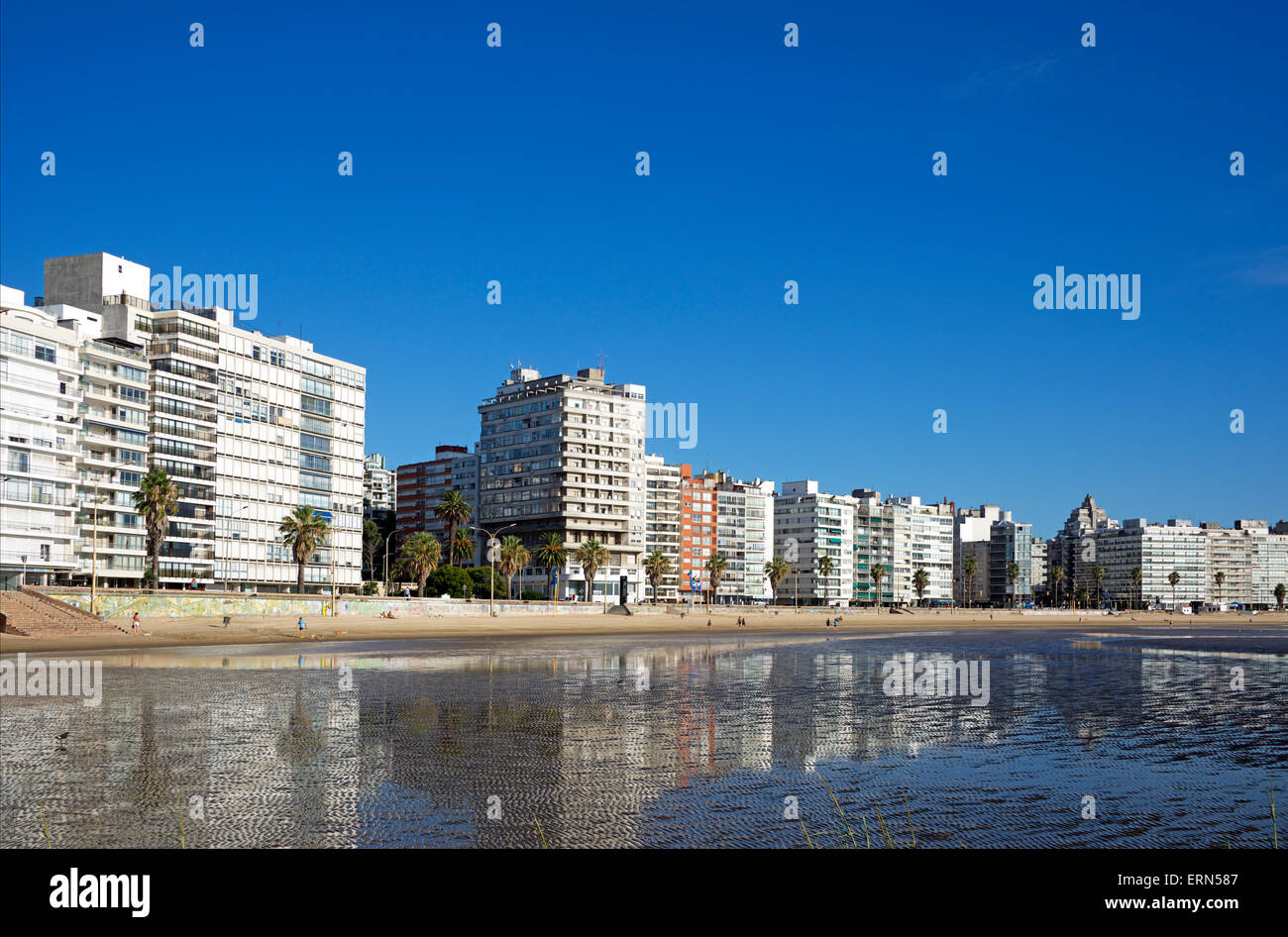 Mare blocchi di appartamenti Playa de los Pocitos Montevideo Uruguay Foto Stock