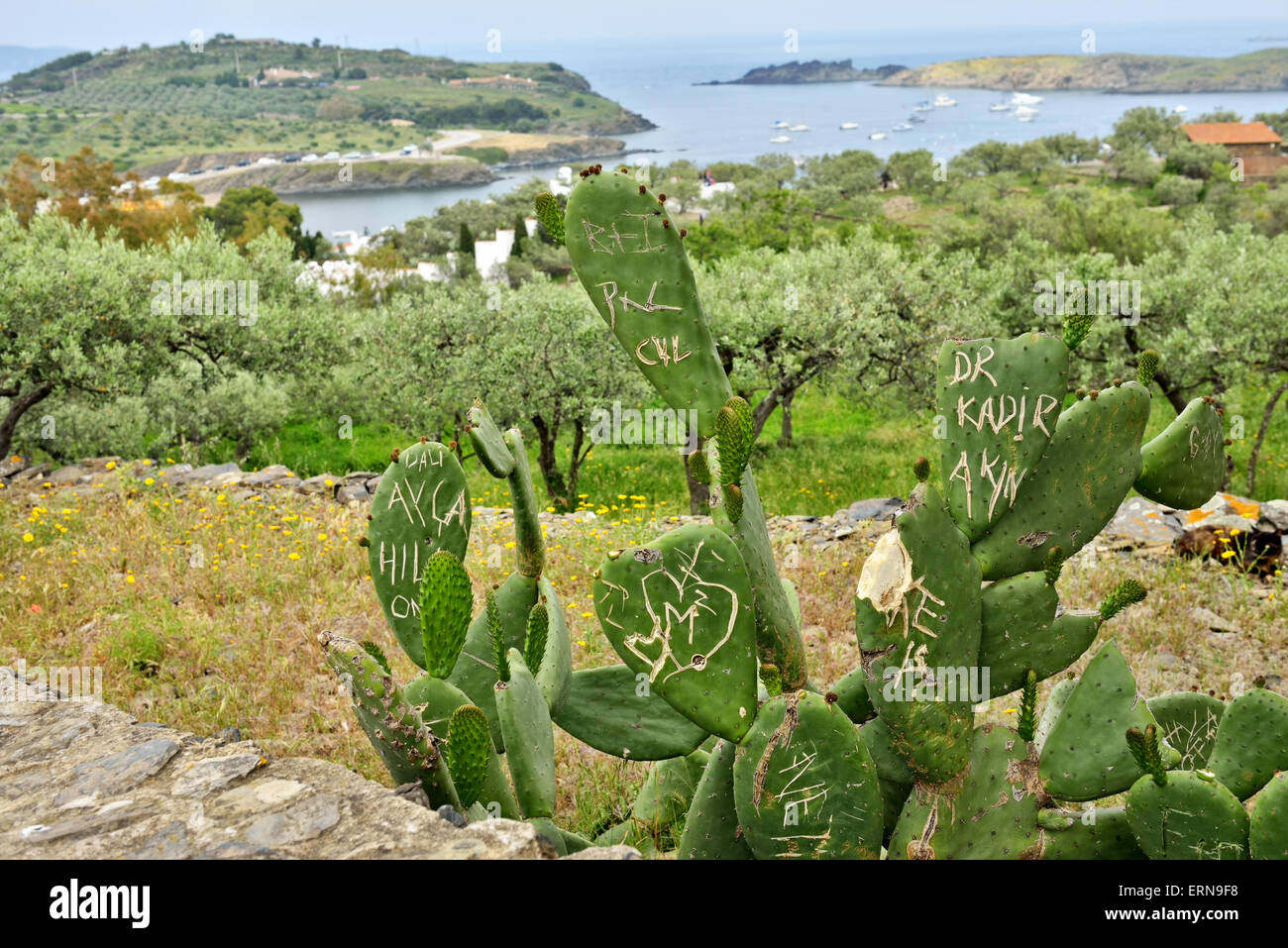 I vandali turisti cactus danneggiati sul percorso turistico in Spagna Foto Stock