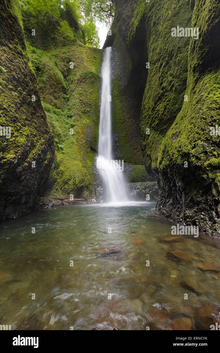 Abbassare Oneonta cade presso la Columbia River Gorge National Scenic Forest in Oregon Foto Stock