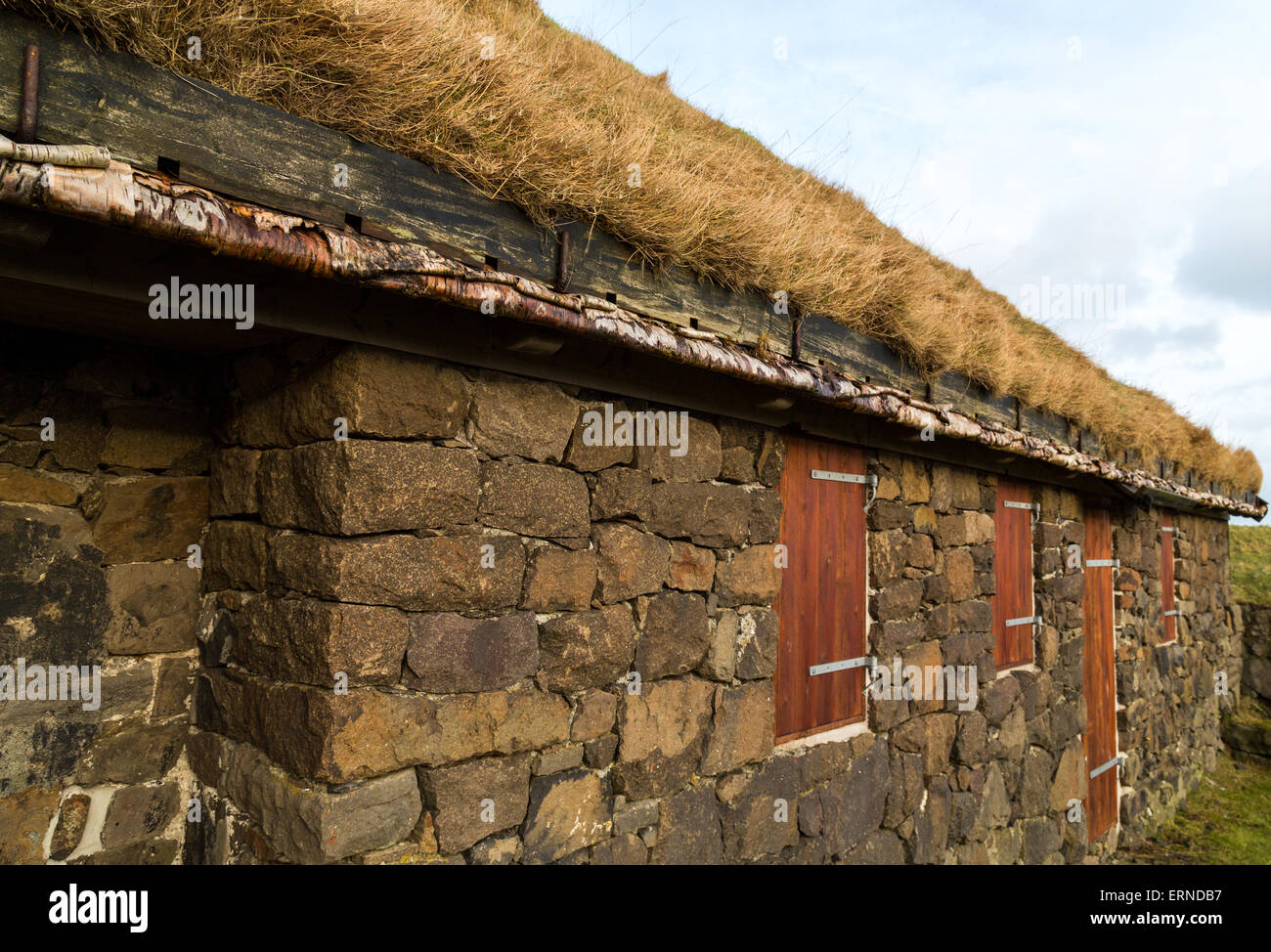 Tipico edificio rurale con erba naturale tetto e argento balseros betulla a Torshavn, Isole Faerøer Foto Stock