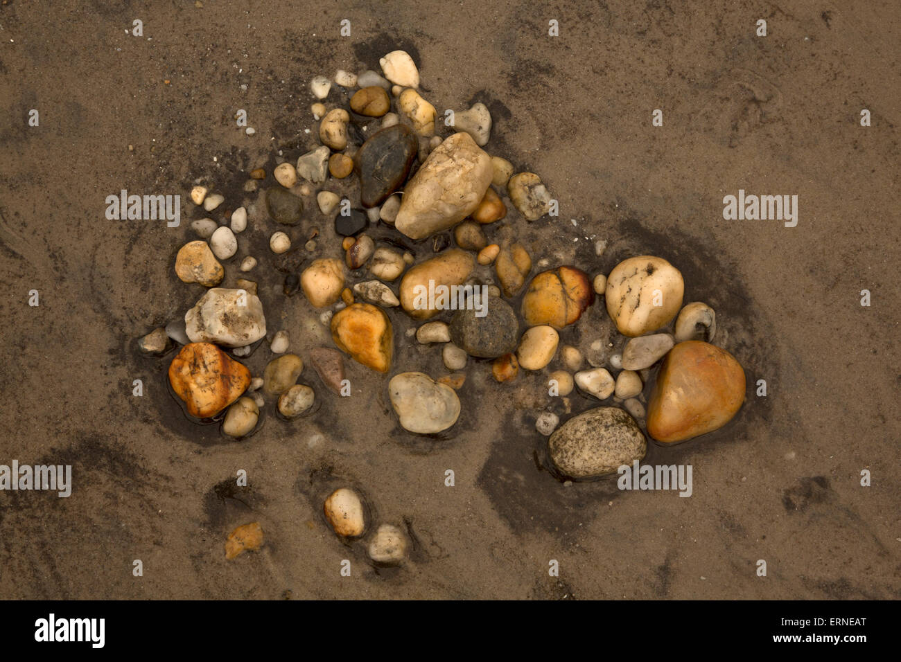 Rocce sulla spiaggia della baia del Delaware, Delaware Foto Stock