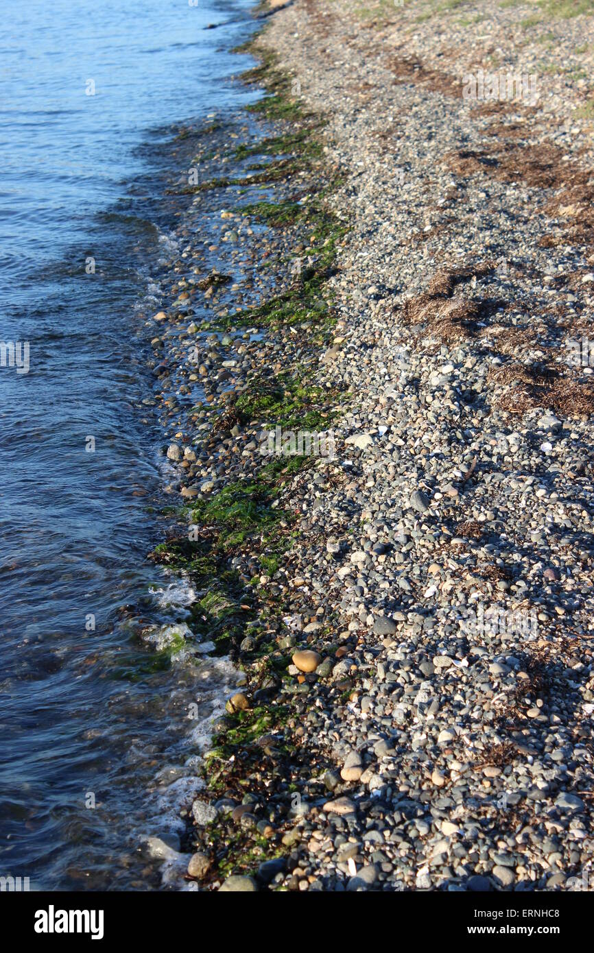 Ocean Shore line Foto Stock