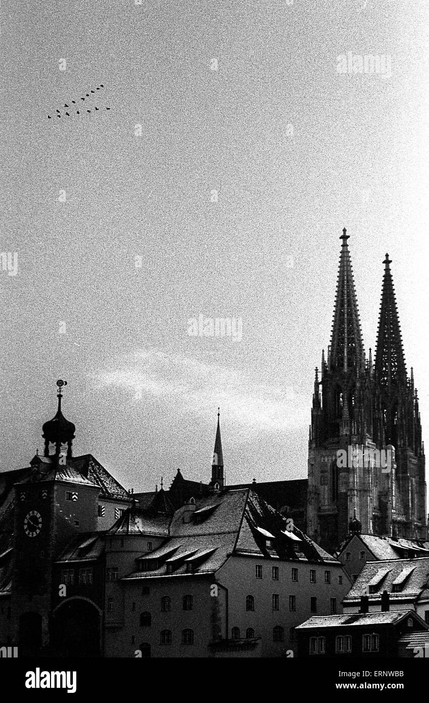 Una formazione di lavoratori migranti brant uccelli nel grigio cielo invernale è volare da Regensburg la Basilica di San Pietro, la gotica della città medievale di Ratisbona (Baviera, Germania), il sito patrimonio mondiale dell'UNESCO. Foto Stock