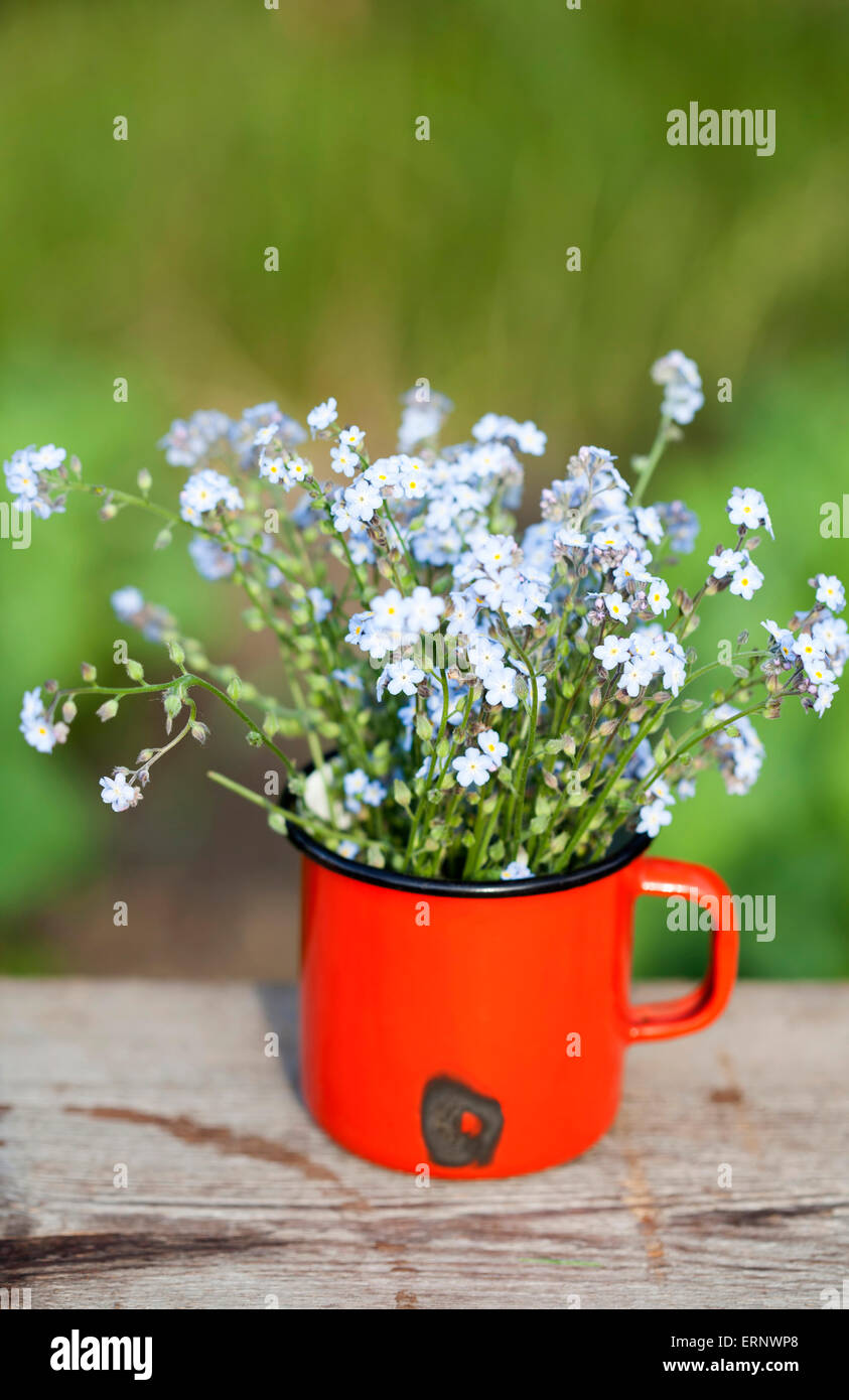 Estate sfondo con non ti scordar di me fiori in un vaso su sfondo di legno Foto Stock