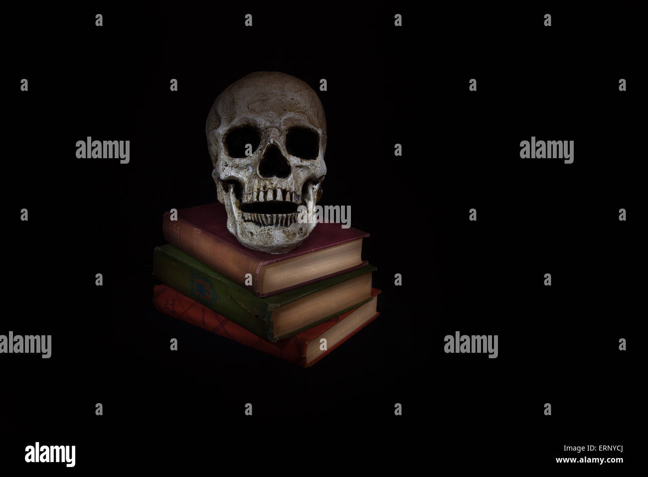 Un cranio vintage si siede accanto a una pila di vecchi romanzi; immagine creata con una luce tecnica di pittura Foto Stock