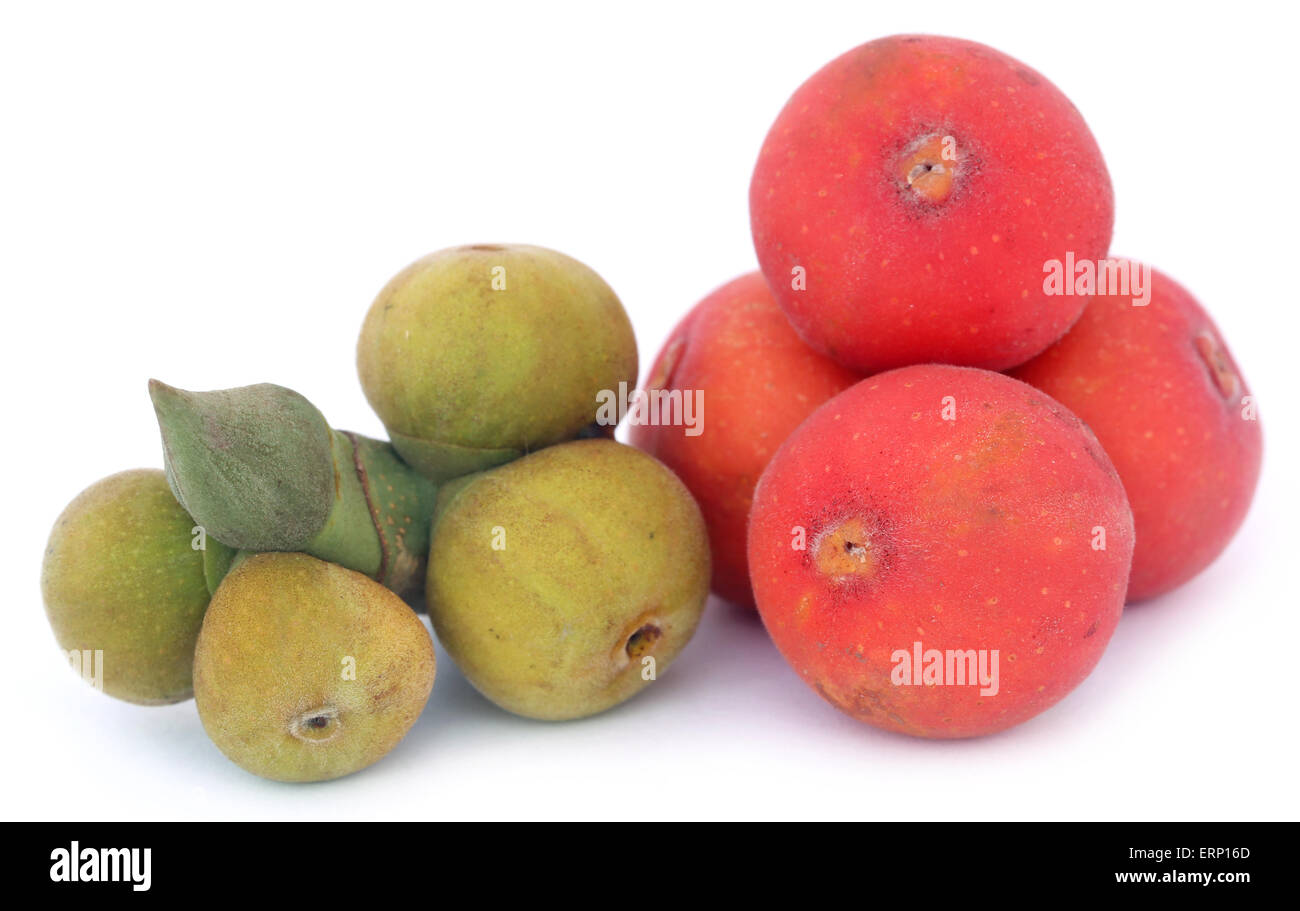 Clsoe fino di soem banyan frutti sfondo bianco Foto Stock