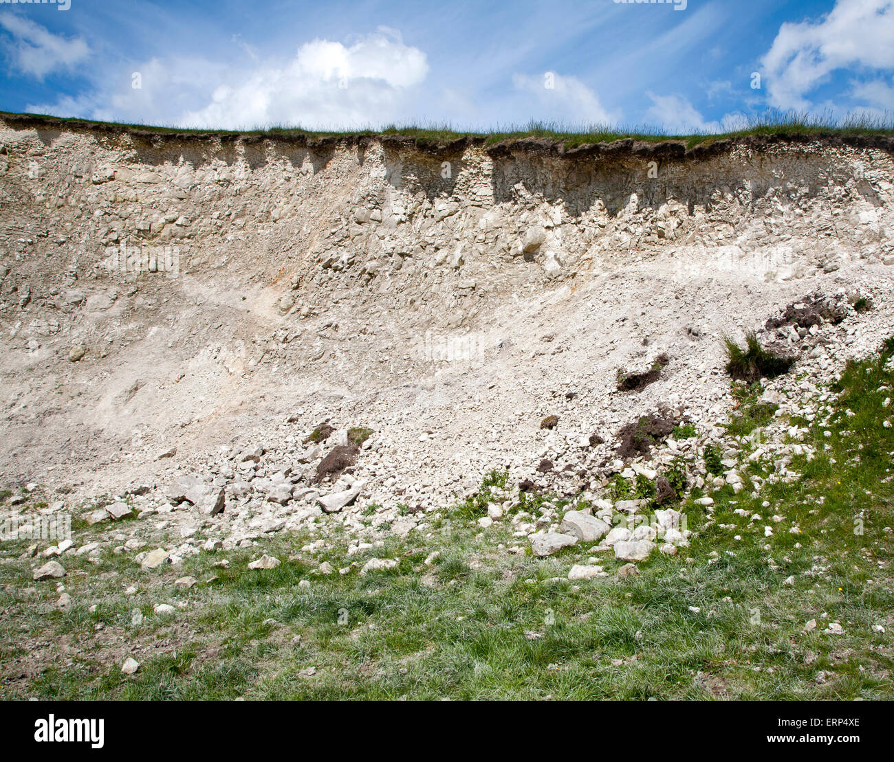 Profilo del suolo sezione trasversale mostrante topsoil sottile strato sulla parte superiore di gesso bianco rock Marlborough Downs, Wiltshire, Inghilterra Foto Stock