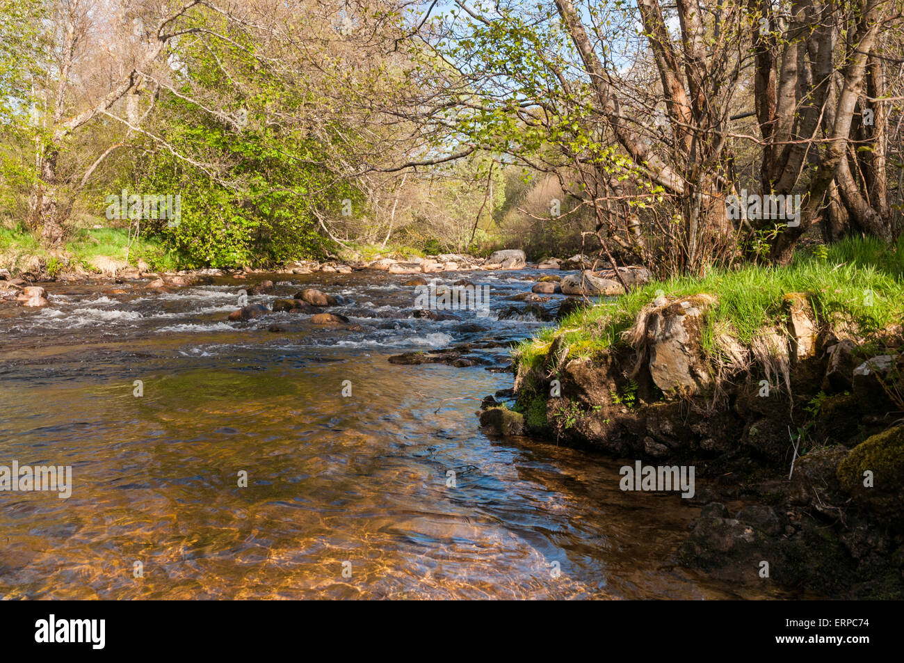 Il fiume Nethy, Abhainn Neithich, Nethy Bridge in Badenoch e Strathspey, Scozia Foto Stock