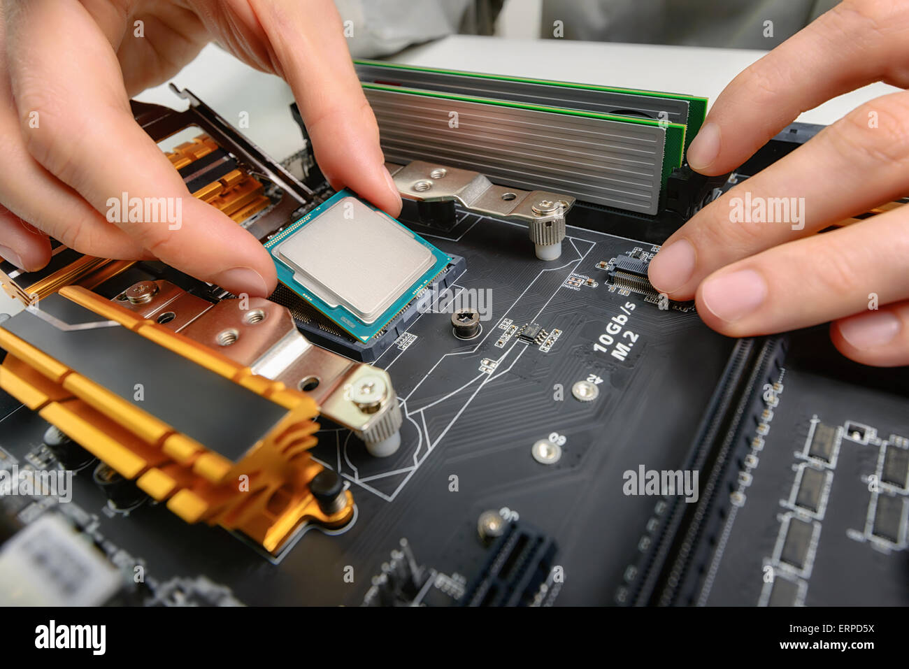 Le mani di un tecnico di computer assemblaggio parti hardware, come una nuova cpu è montata fino alla scheda madre, studio closeup Foto Stock