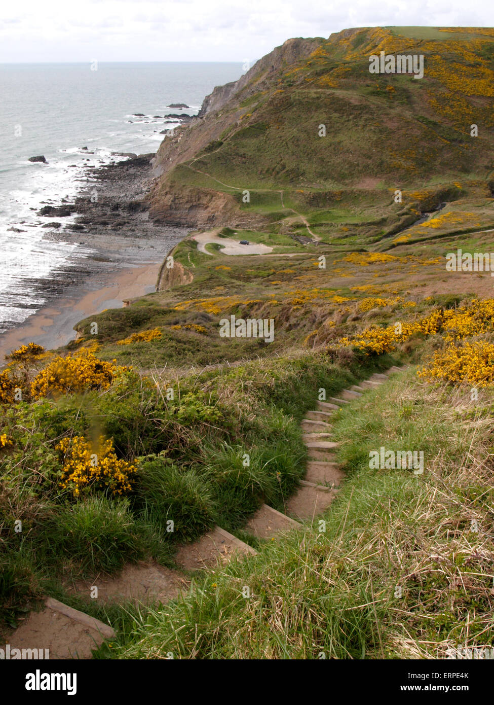 Passi lungo la costa sud-ovest percorso fino alla bocca Welcombe Beach, Devon, Regno Unito Foto Stock