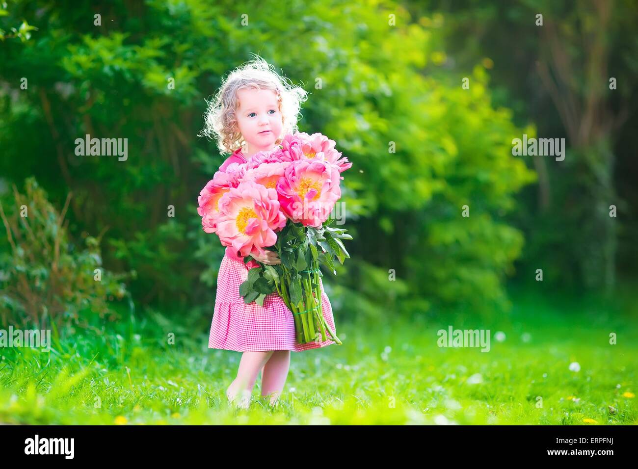 Ricci adorabile ragazza toddler indossando un abito rosso giocando in un giardino con un mazzetto di enorme rosso e rosa peonia fiori Foto Stock