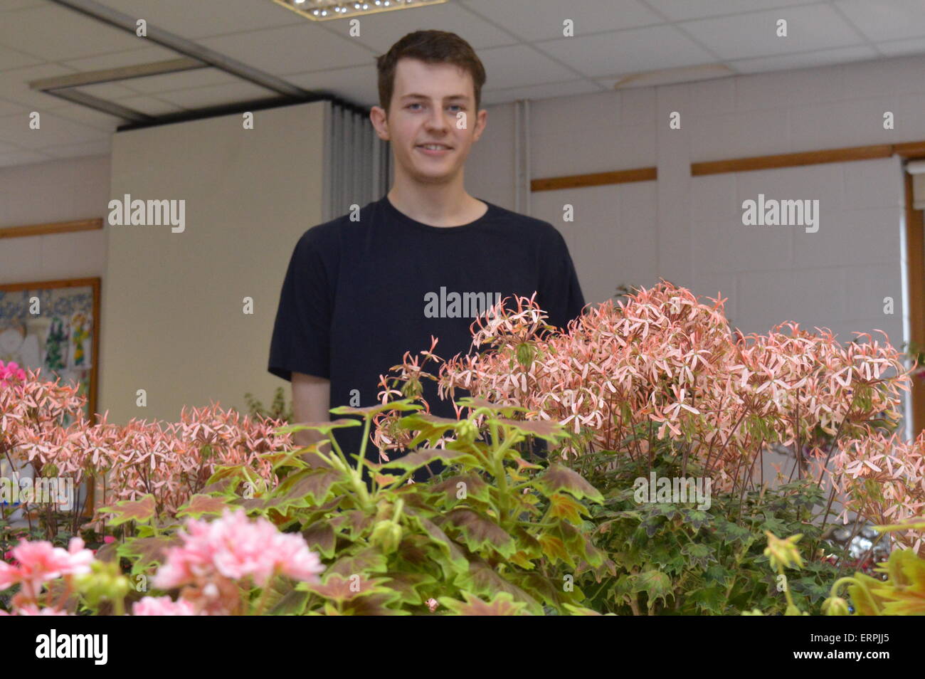 Visualizza segretario Simon Craig, Earley fucsia e geranio società. Vivienne Johnson/Alamy Live News Foto Stock