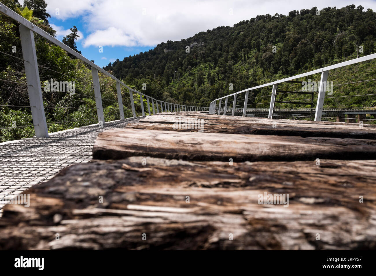 Attraversando il vecchio in disuso viadotto Hapuawhenua ora aperto per gli escursionisti e i ciclisti come parte di un Heritage Trail, Nuova Zelanda. Foto Stock