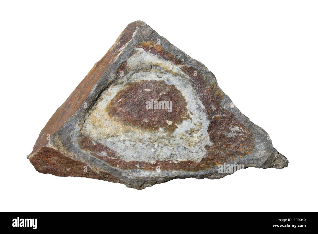 Ferro sferoidali-area ricca in un blocco Siltstone da Coed Llangwyfan, Denbighshire, Galles Foto Stock