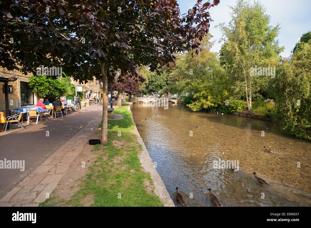 Fiume Windrush in esecuzione attraverso Bourton-on-the-acqua, Gloucestershire; Cotswolds; Inghilterra; Regno Unito Foto Stock