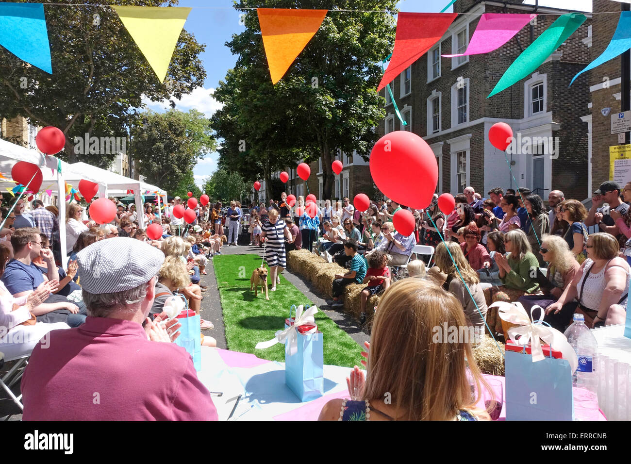 Islington, Londra, 7 giugno 2015.A gloriosamente giornata di sole per il cane mostra concorso al Big Pranzo Street Party in Englefield Road. Credito: Foto Stock