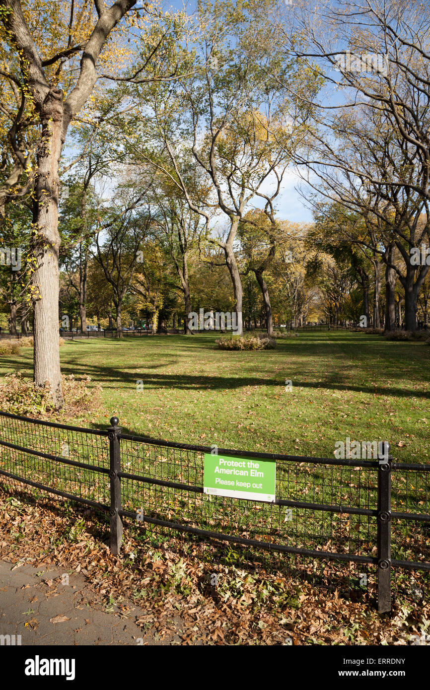 Una vista di central Park di new york. Foto Stock