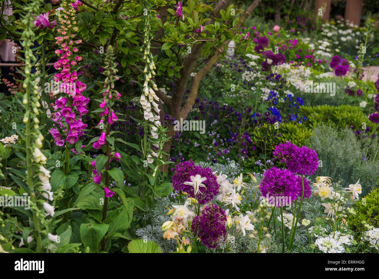 2015 RHS Chelsea Flower Show, il tempo tra un da Husqvarna e Gardena, progettato da Charlie Albone Foto Stock