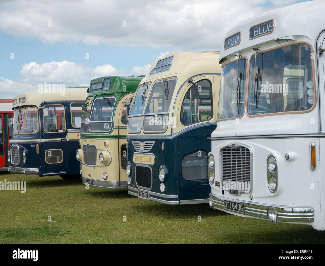 Una linea di autobus vintage a Southdown bus 100 rally a Portsmouth, Hampshire, Inghilterra Foto Stock