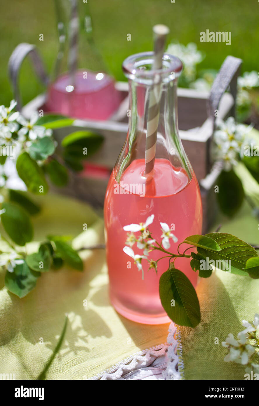 Il succo prodotto in casa fatta di rabarbaro fresco Foto Stock