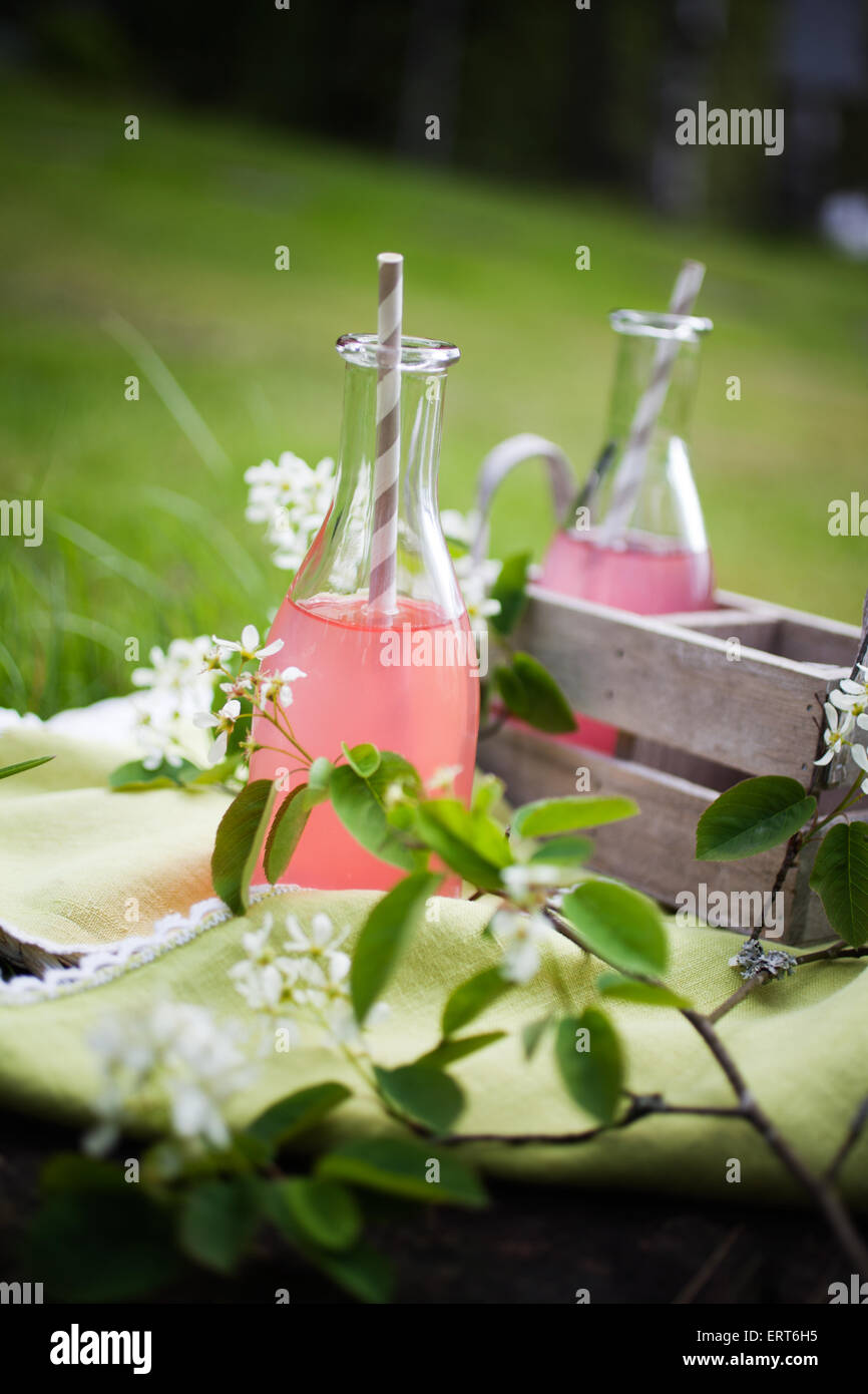 Il succo prodotto in casa fatta di rabarbaro fresco Foto Stock