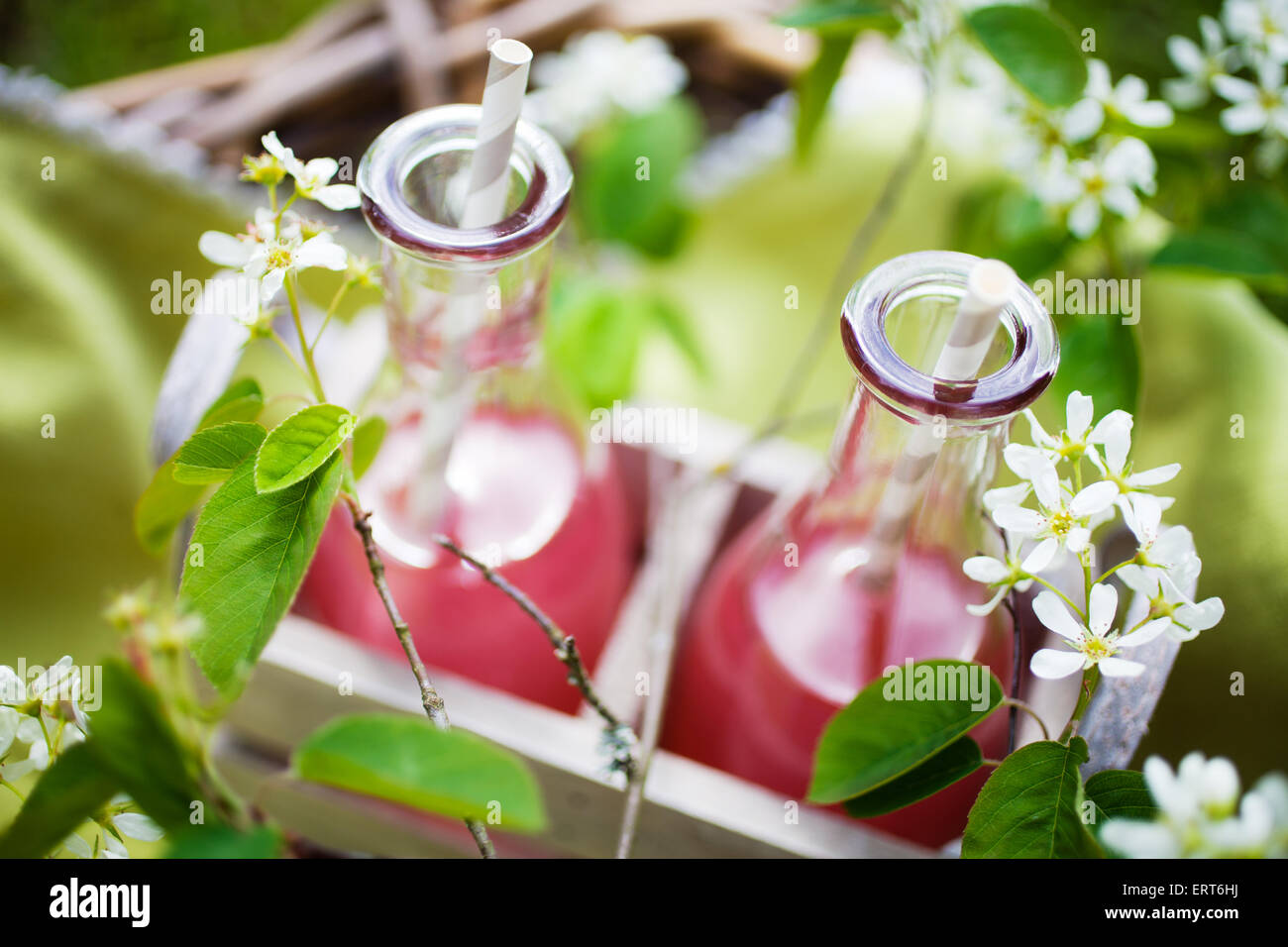 Il succo prodotto in casa fatta di rabarbaro fresco Foto Stock