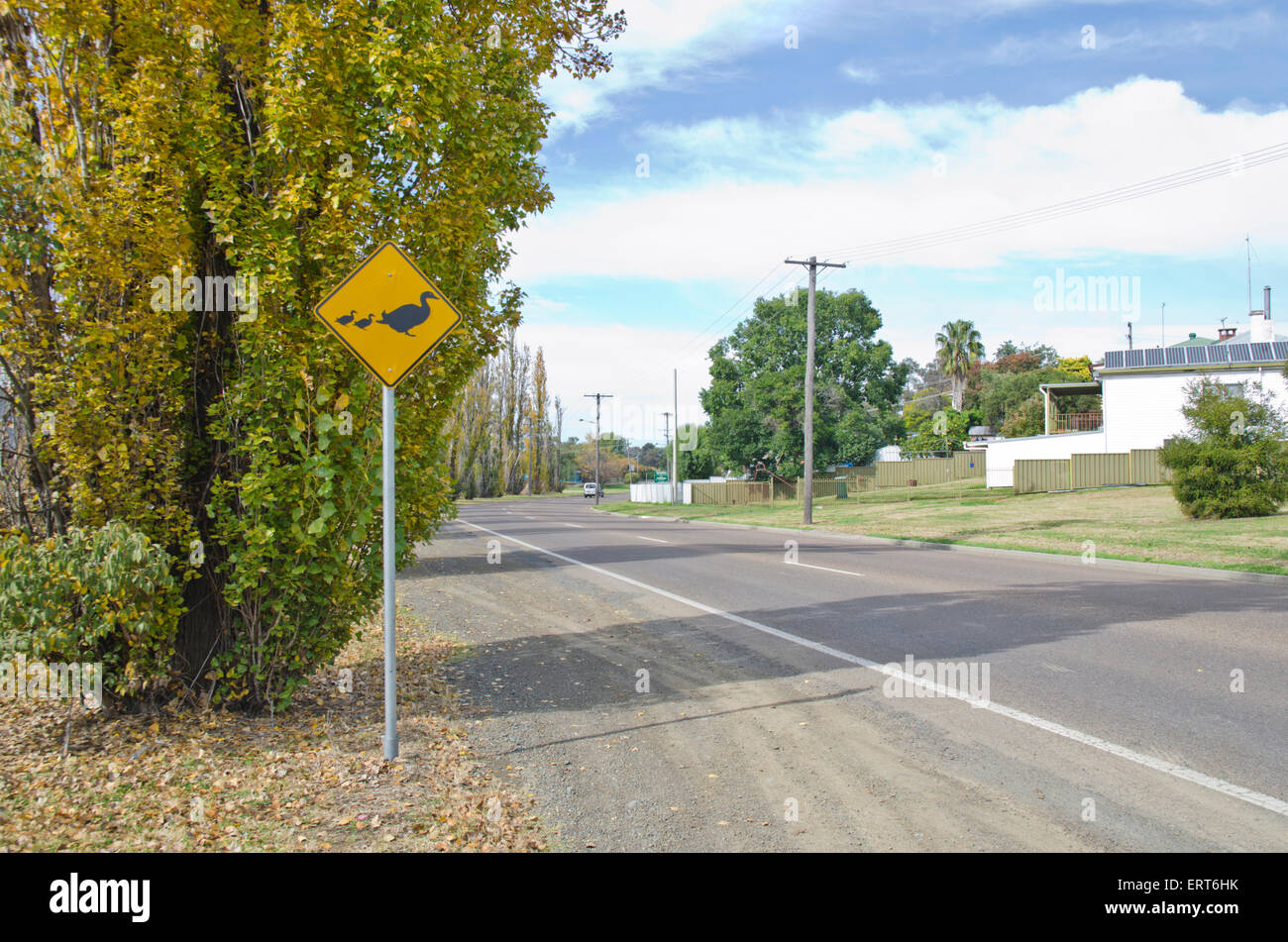 Anatre attraversando cartello stradale adiacente al fiume Peel Tamworth Australia Foto Stock