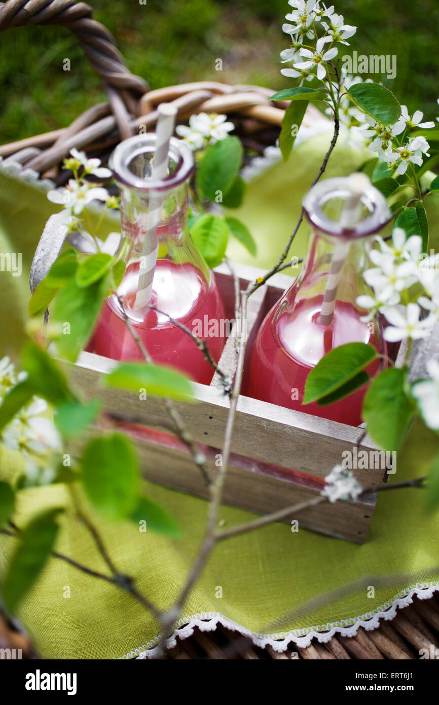 Il succo prodotto in casa fatta di rabarbaro fresco Foto Stock