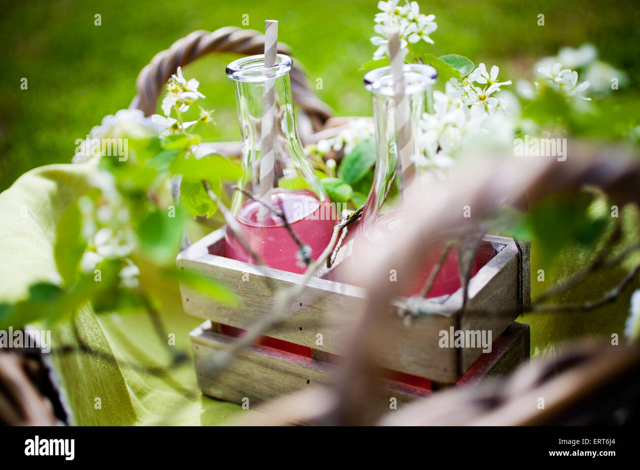 Il succo prodotto in casa fatta di rabarbaro fresco Foto Stock