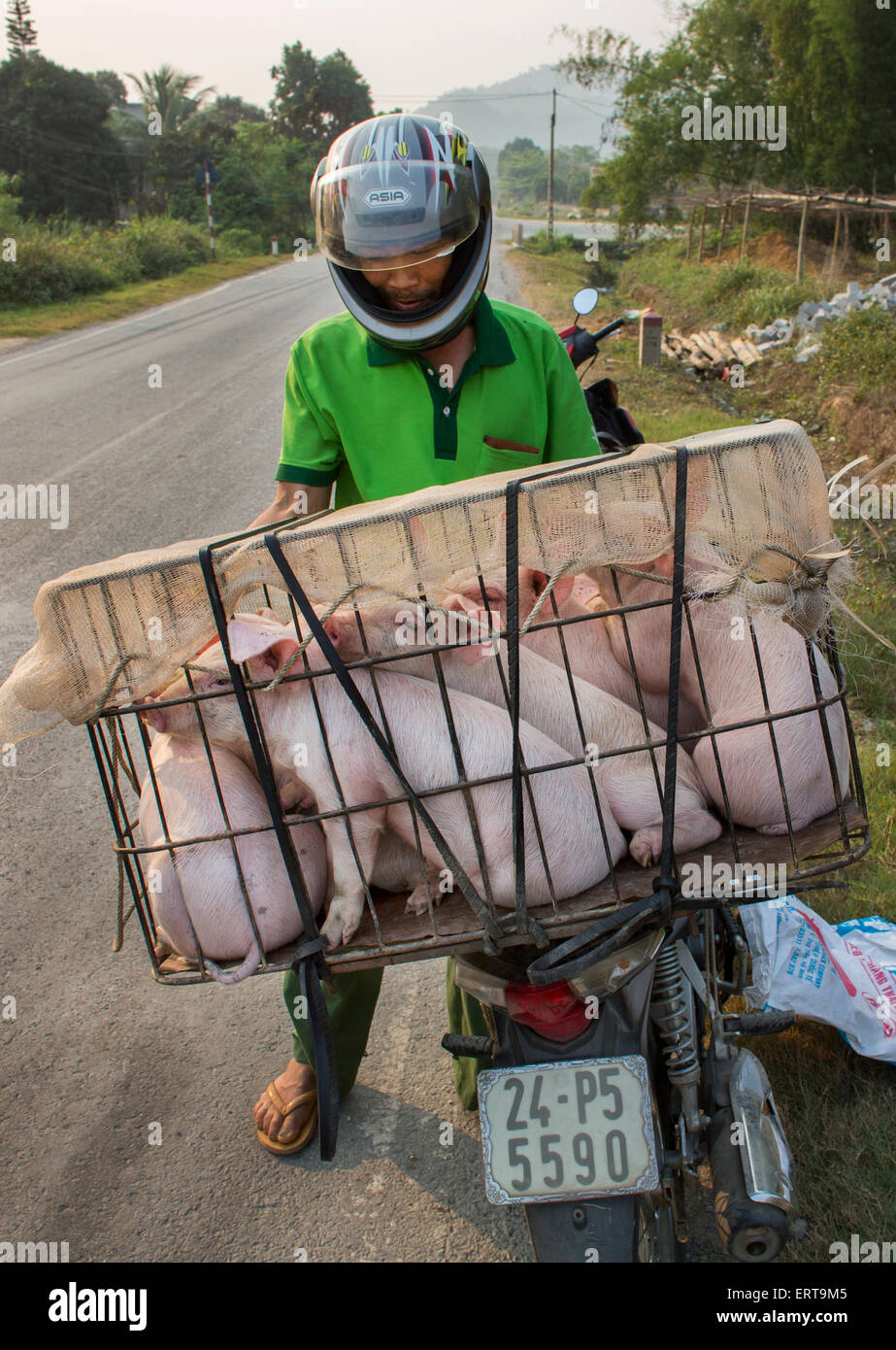 Le moto sono il principale mezzo di trasporto in Vietnam. Foto Stock