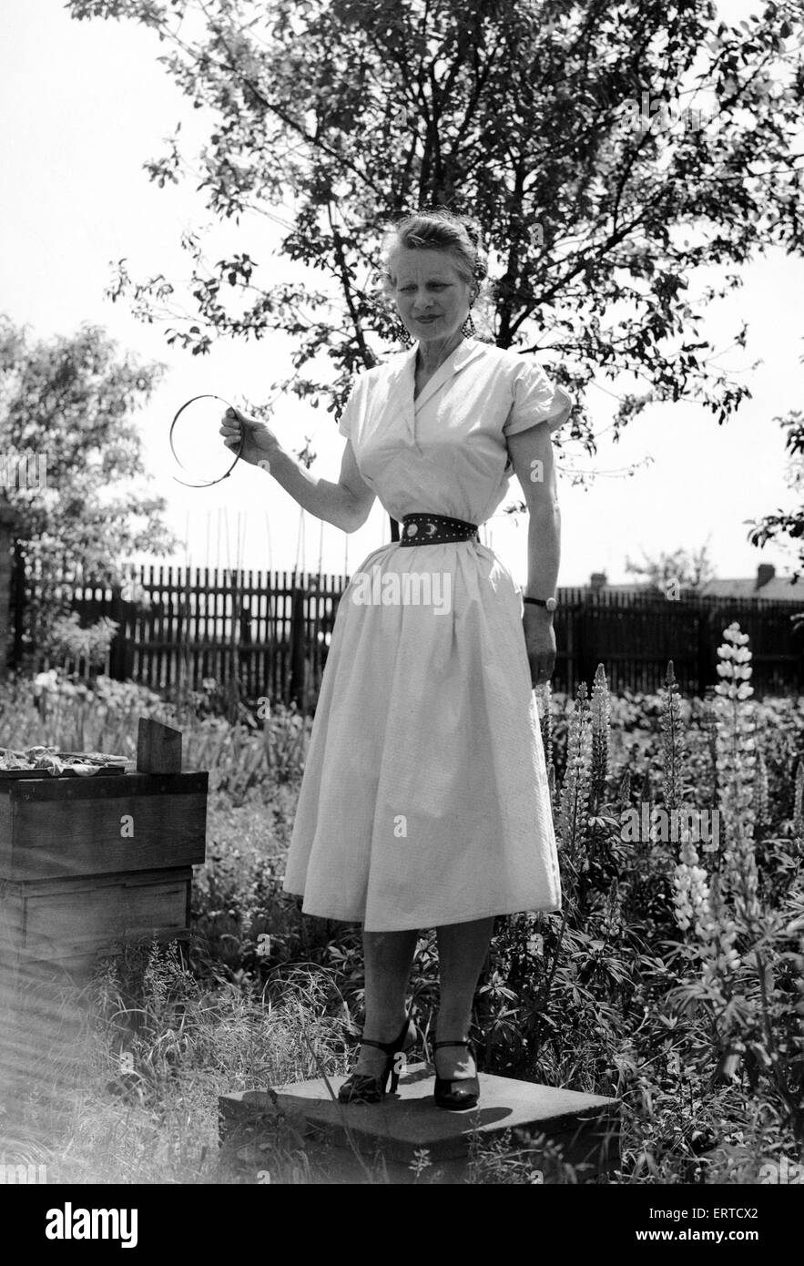 Ethel Granger mostra il suo 14 pollici, cintura il più piccolo al mondo nella sua città natale di Peterborough. 14 giugno 1957. Foto Stock