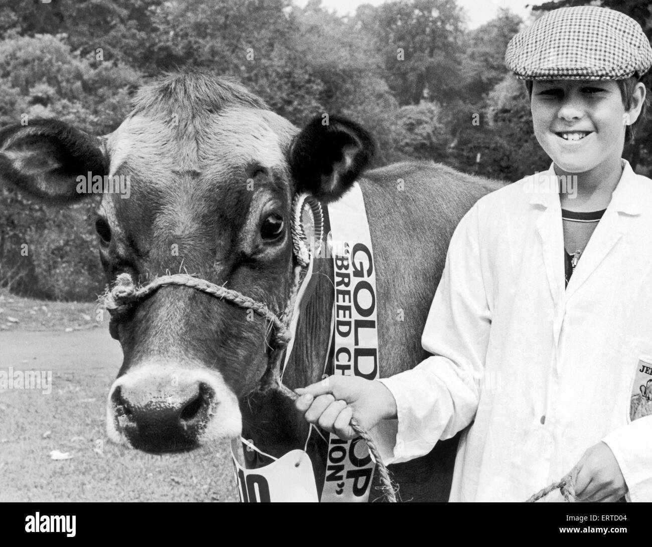 Darlington spettacolo agricolo. Broadfields Vedas gioia, a cinque anni di Jersey giudicato campione di razza è sfilato dal gestore orgoglioso James Stubbs, 11 anni. 20 Agosto 1983 Foto Stock