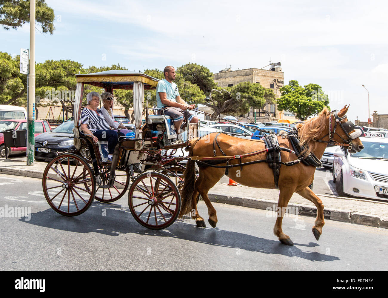 Carro trainato da cavalli Rabat Malta Foto Stock