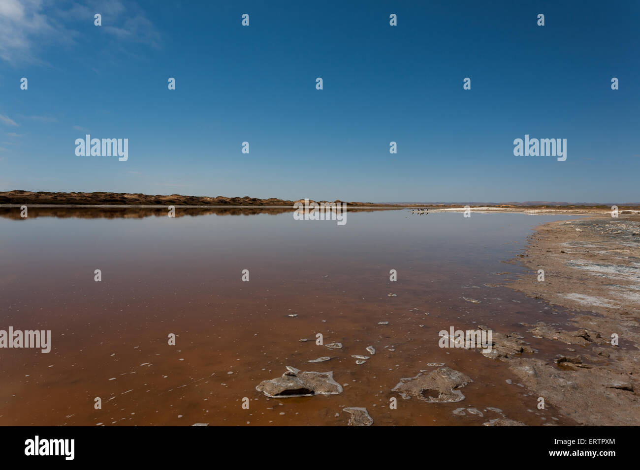 La riflessione sull'acqua, Ugab foce, Skeleton Coast Park, Namibia Foto Stock