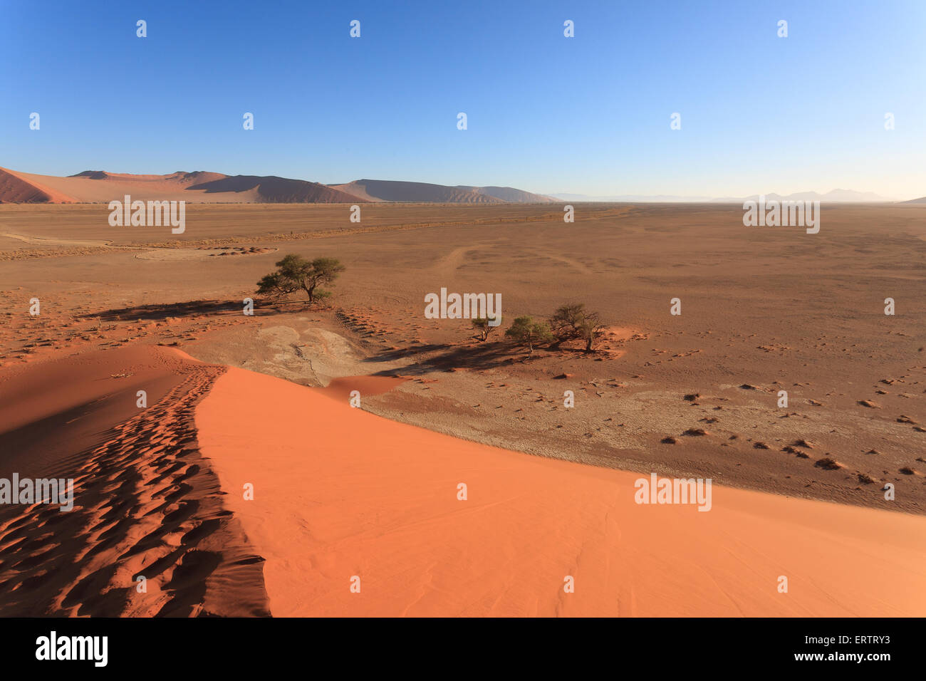 Duna Rossa sulla strada di Sossusvlei, Namibia Foto Stock