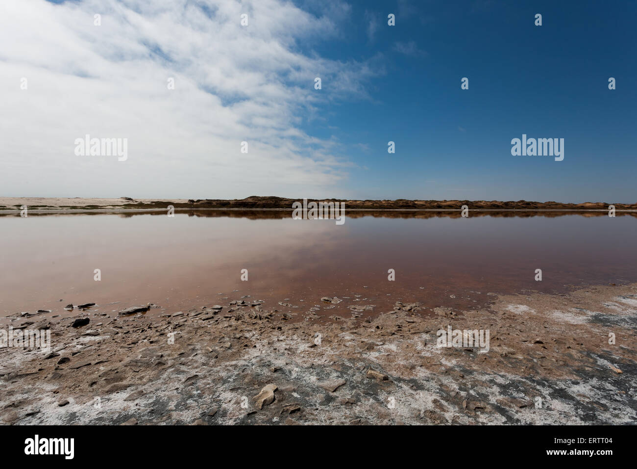 La riflessione sull'acqua, Ugab foce, Skeleton Coast Park, Namibia Foto Stock