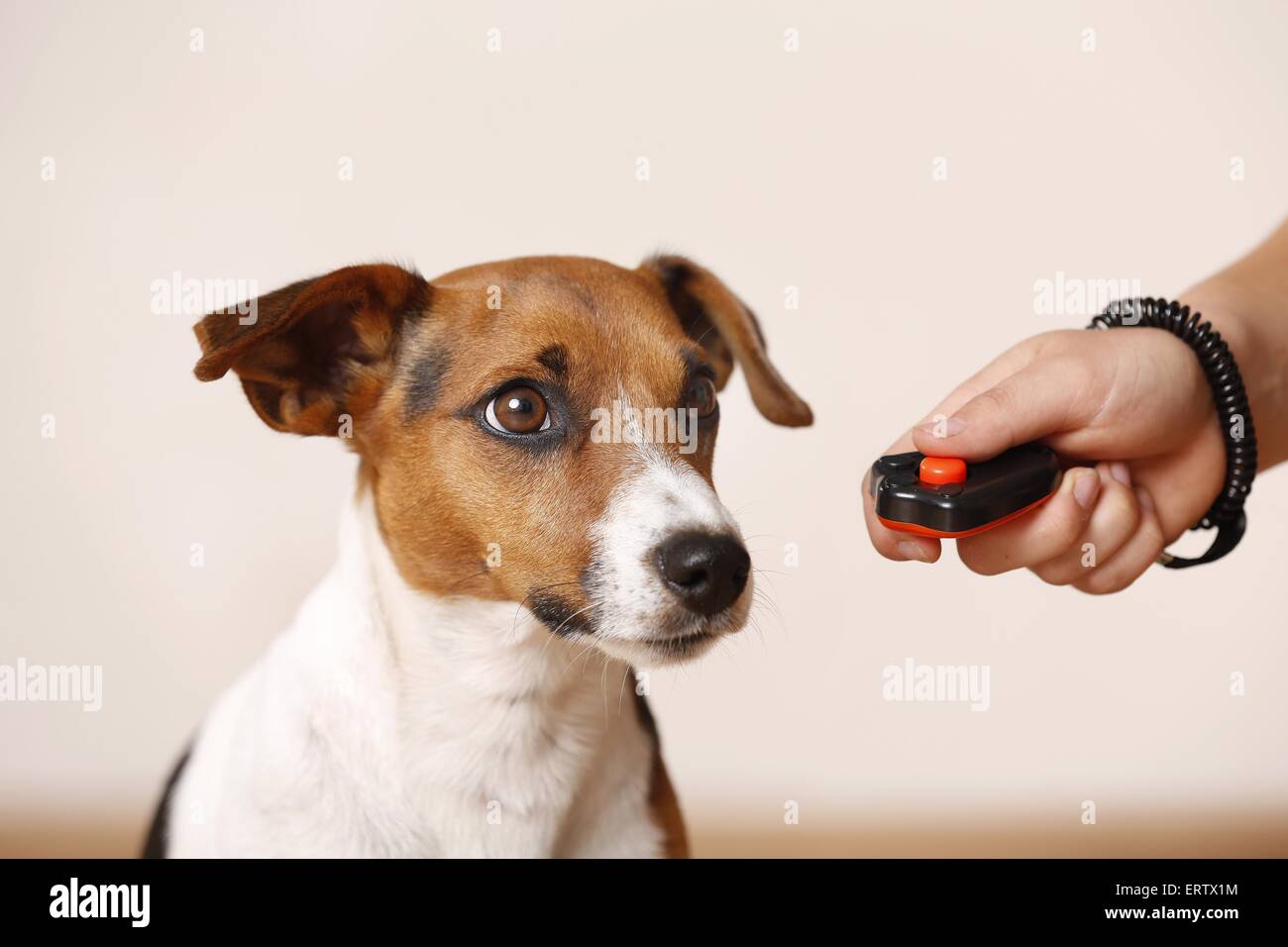 Clicker Foto Stock