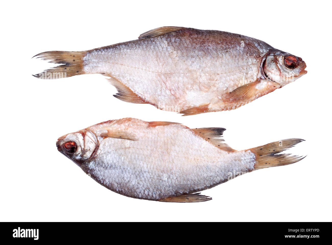 Due secchi tutto il mare roach isolato su bianco Foto Stock