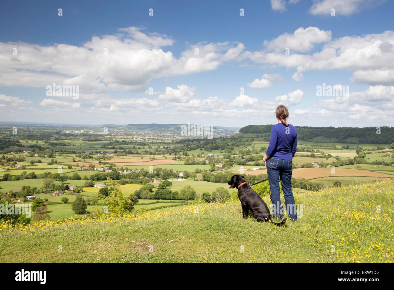 La primavera, passeggiate con il cane sul lungo la camma verso il basso e il Cotswold modo vicino Uley, Gloucestershire, England, Regno Unito Foto Stock