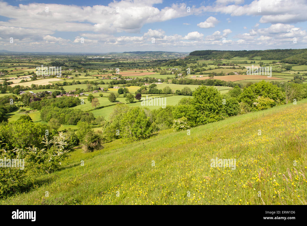 Primavera sulla camma lunga verso il basso e il Cotswold modo vicino Uley, Gloucestershire, England, Regno Unito Foto Stock