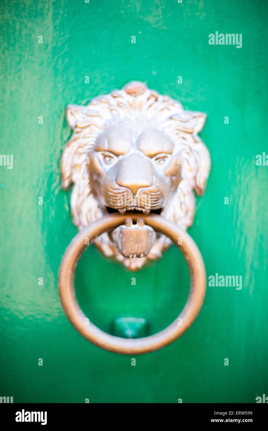 Leone di bronzo testa sulla maniglia della porta verde, arredamento di antiquariato di messa a fuoco selettiva Foto Stock