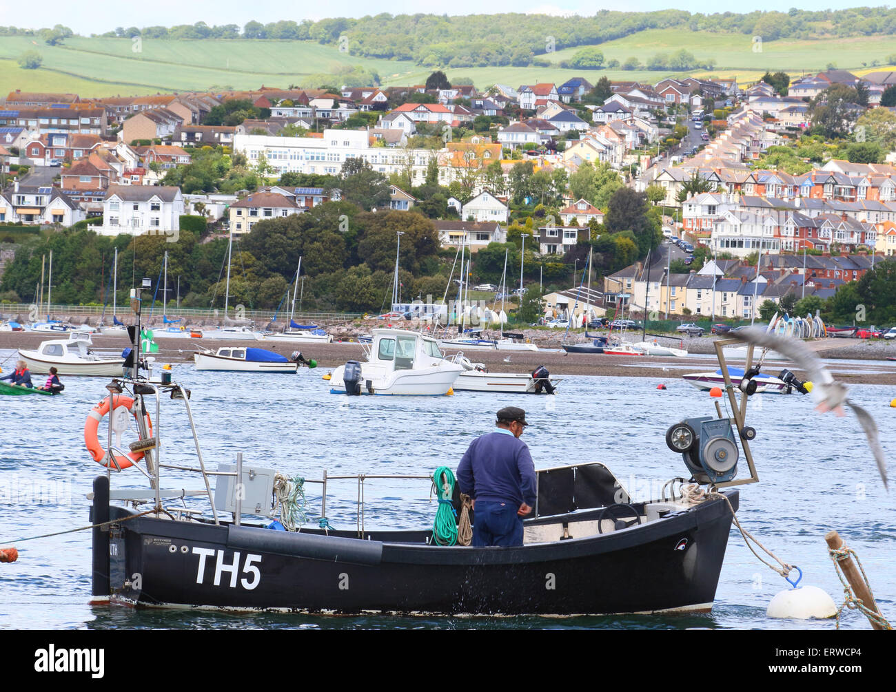 Teignmouth, Devon, Regno Unito. 8 Giugno, 2015. Meteo: giornata soleggiata nel Devon il mare e la città portuale di Teignmouth lunedì 8 giugno 2015 Credit: KEITH MAYHEW/Alamy Live News Foto Stock